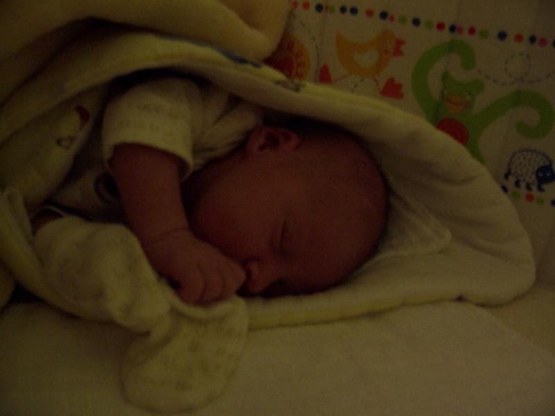 100_2003.JPG