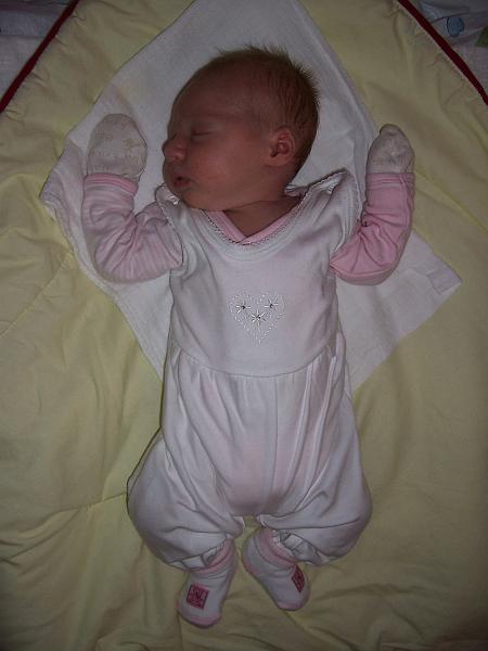 100_2077.JPG