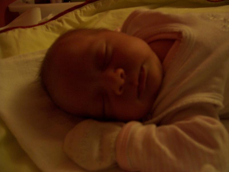 100_2079.JPG