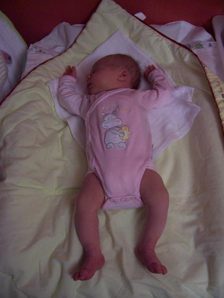 100_2083.JPG