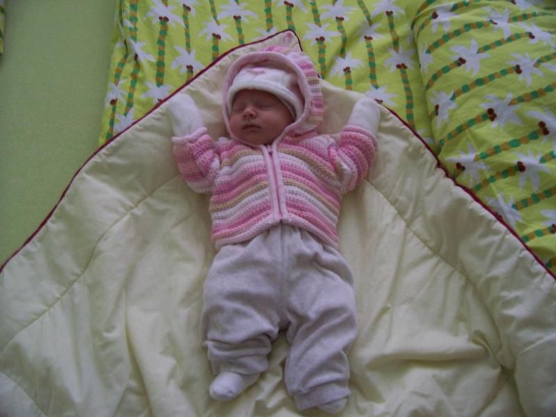 100_2102.JPG