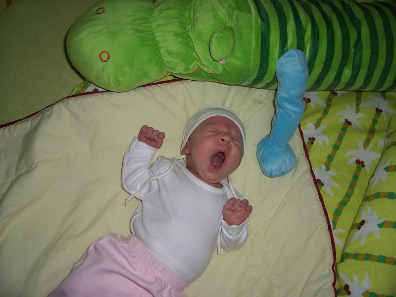 100_2107.JPG