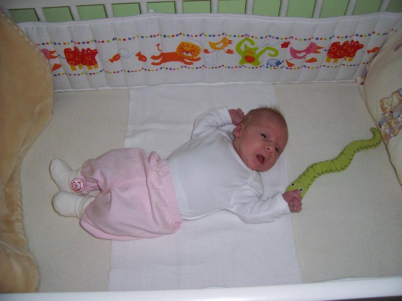 100_2120.JPG