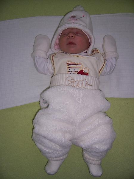 100_2126.JPG