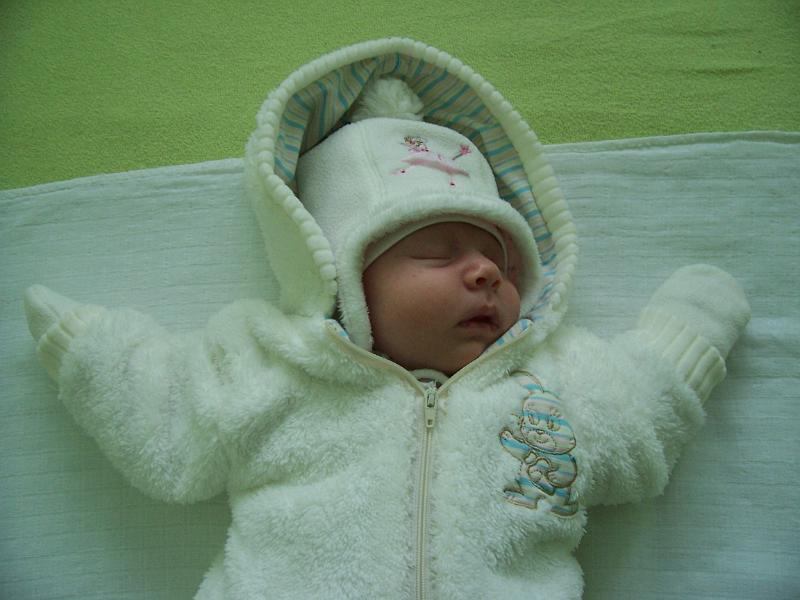 100_2128.JPG