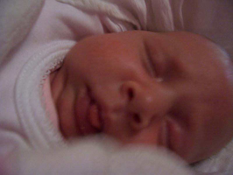 100_2245.JPG