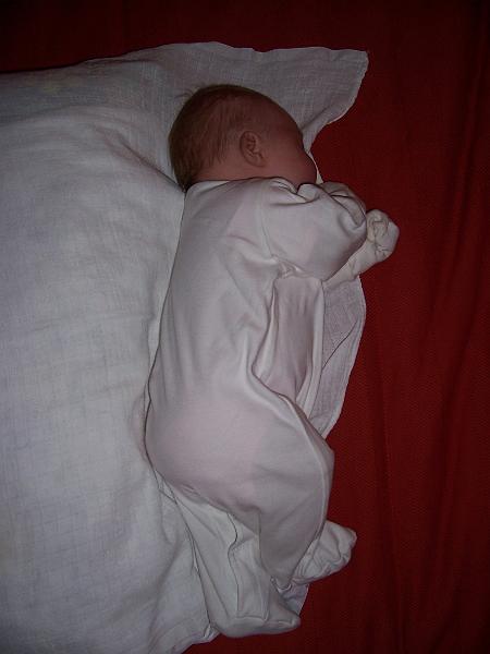 100_2306.JPG