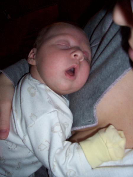 100_2400.JPG