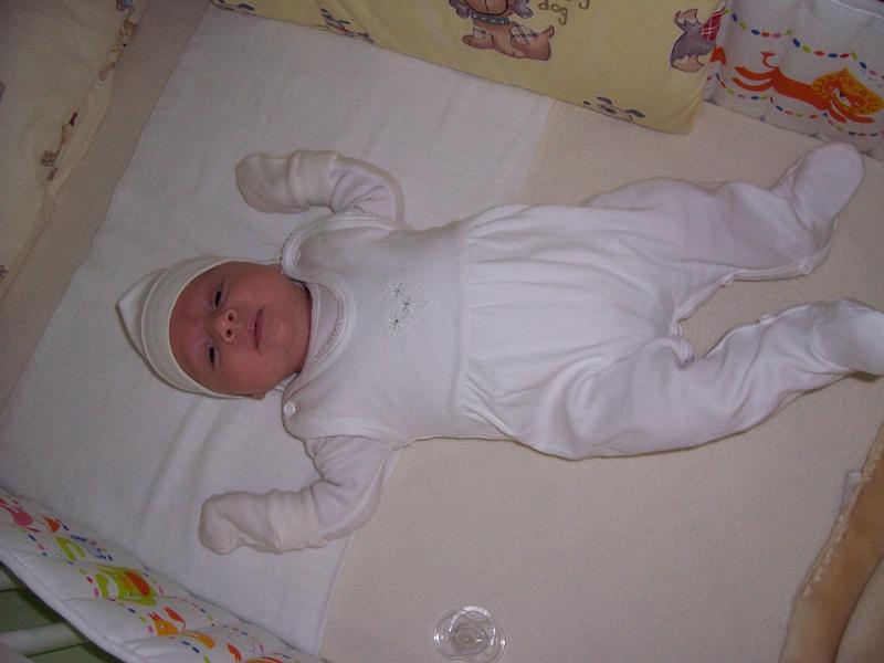 100_2407.JPG