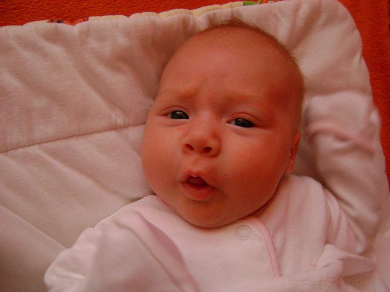 DSC00065.JPG