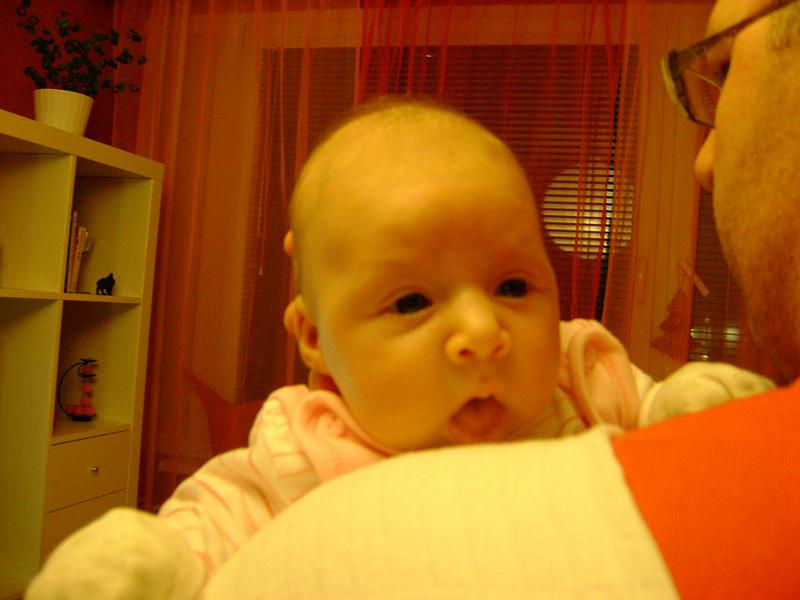 DSC00089.JPG