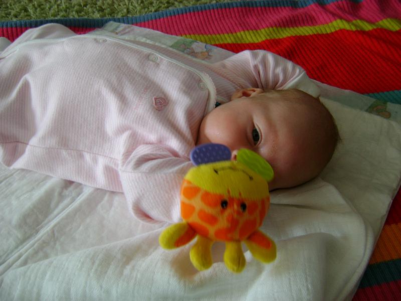 DSC00285.JPG