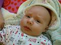 DSC00197