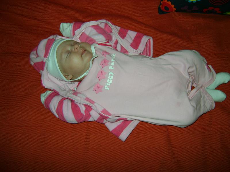 DSC00373.JPG