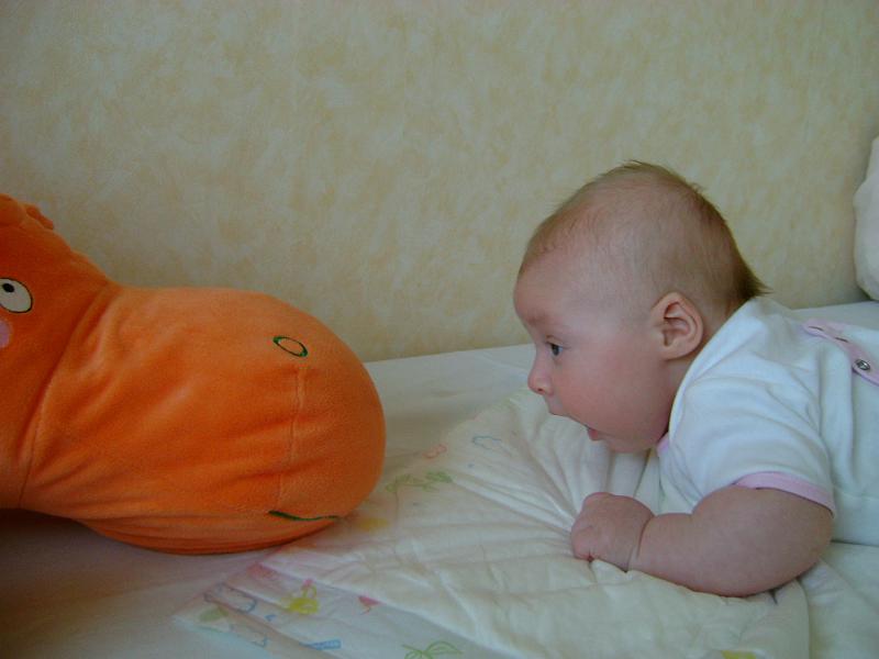 DSC00868.JPG