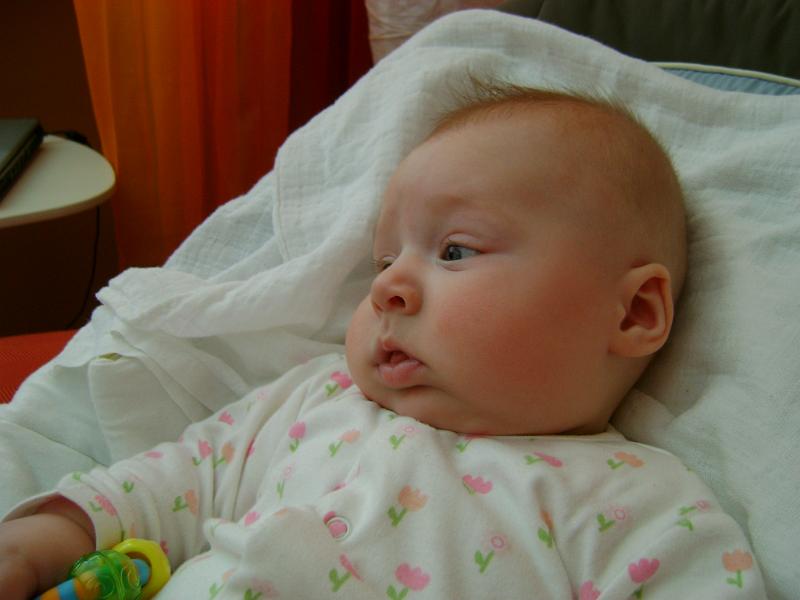 DSC01331.JPG