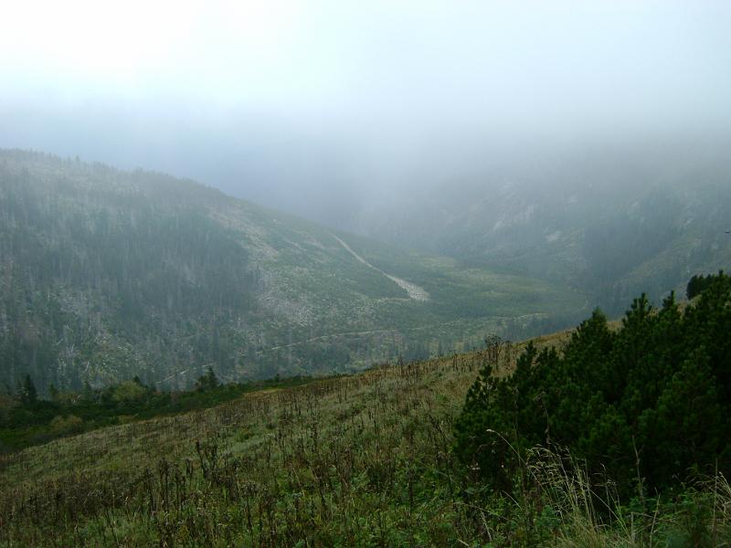 DSC02609.JPG