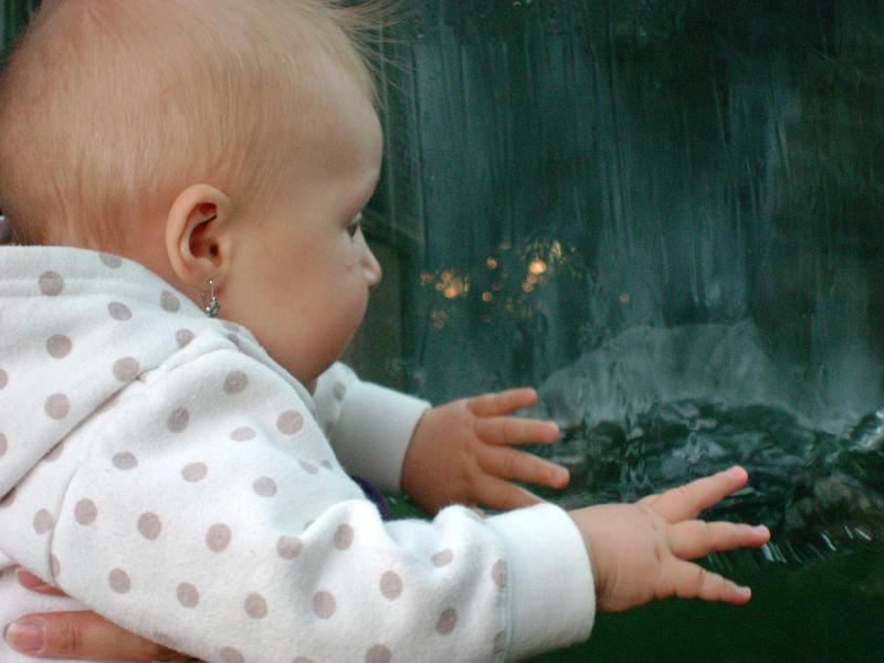 DSC02744.JPG