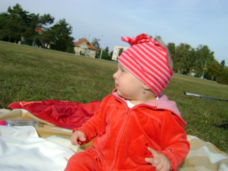 DSC02800.JPG