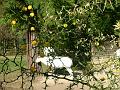 DSC02670