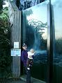 DSC02740