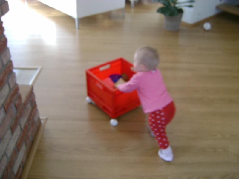 DSC03788.JPG