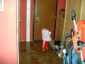DSC04551