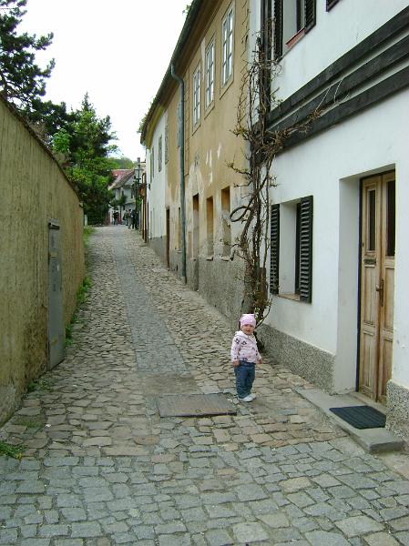DSC04972.JPG