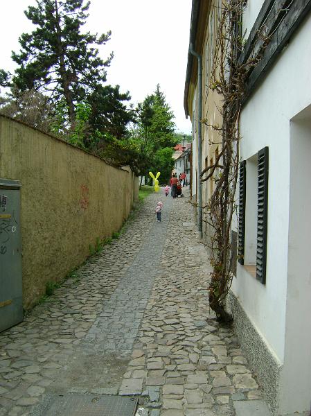 DSC04985.JPG