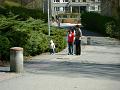 DSC04761