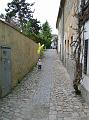 DSC04981