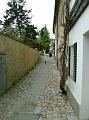 DSC04985