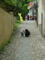DSC04995