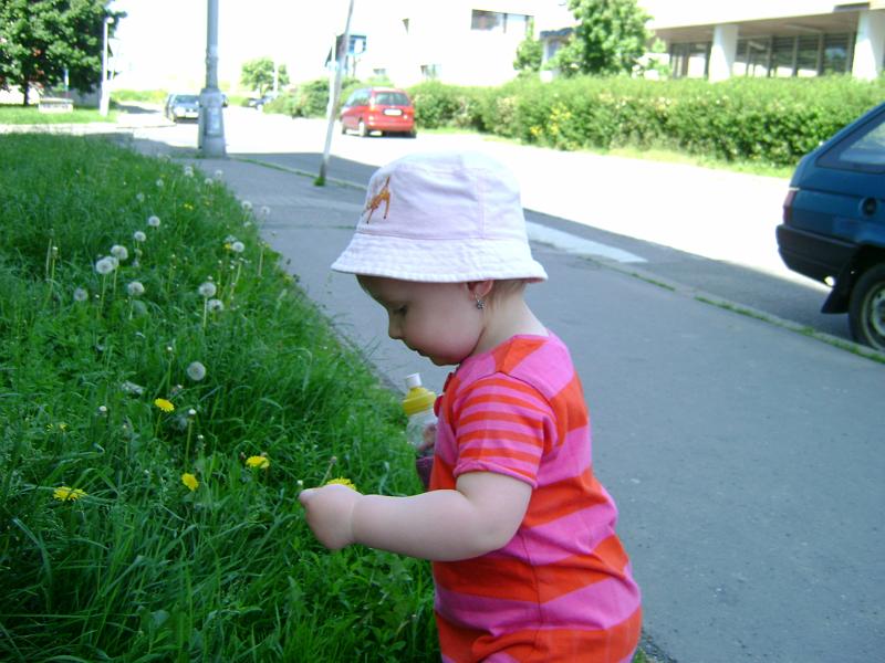 DSC05148.JPG