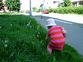 DSC05149