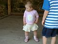 DSC05231