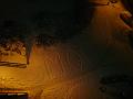 DSC06308