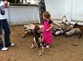 IMG_0833