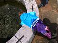 IMG_1025