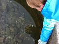 IMG_1028