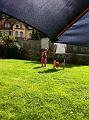 IMG_1188